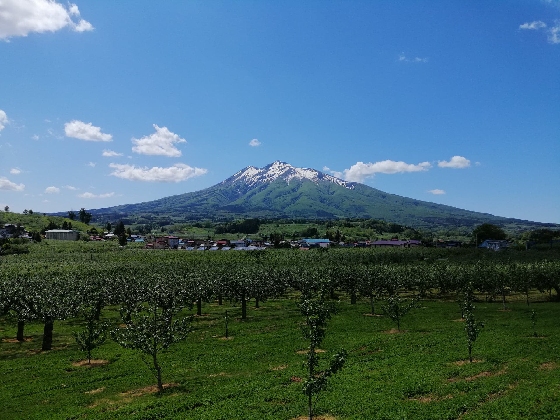 参加者へのご案内